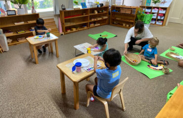 MONTESSORI-COMMUNITY-SCHOOL